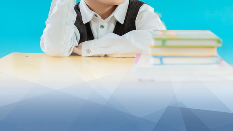 会计继续教育网校代理：揭秘其背后的运作逻辑与选择要点