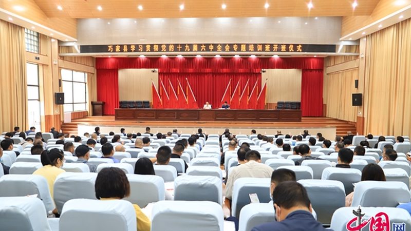 揭秘职业培训就业率低背后的五大原因